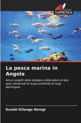 La pesca marina in Angola