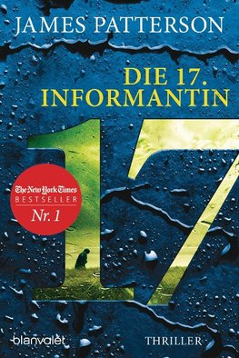 Die 17. Informantin