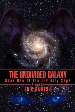 The Undivided Galaxy