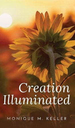 Creation Illuminated