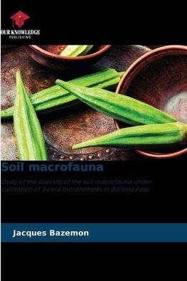 Soil macrofauna