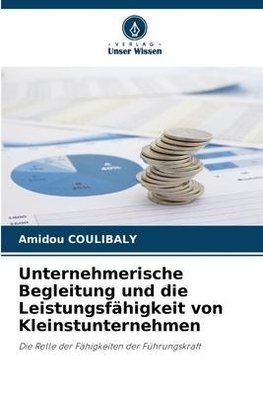 Unternehmerische Begleitung und die Leistungsfähigkeit von Kleinstunternehmen