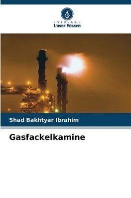 Gasfackelkamine