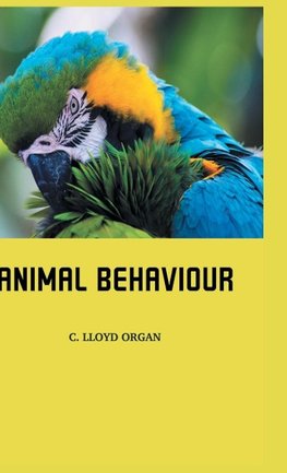 Animal Behaviour