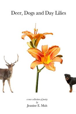 Deer, Dogs and Day Lilies