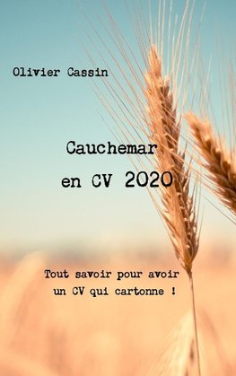 Cauchemar en CV 2020