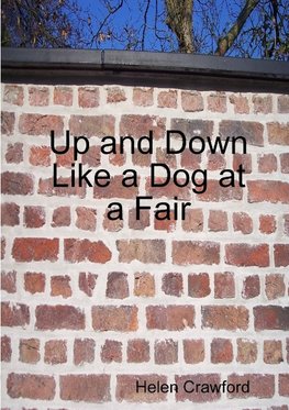 Up and Down Like a Dog at a Fair