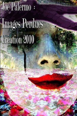 IMAGES PERDUES