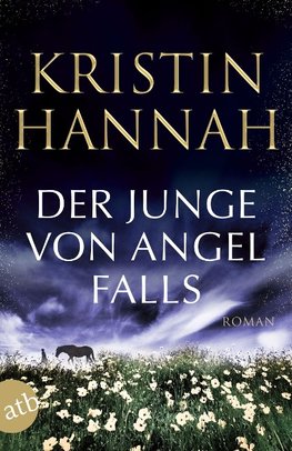 Der Junge von Angel Falls