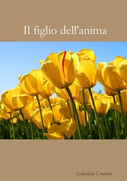 Il figlio dell'anima