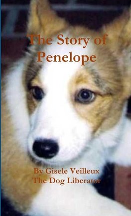 The Story of Penelope