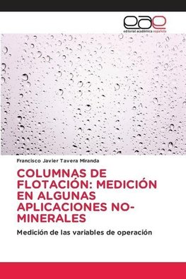 COLUMNAS DE FLOTACIÓN: MEDICIÓN EN ALGUNAS APLICACIONES NO-MINERALES