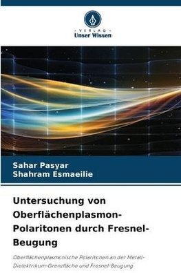 Untersuchung von Oberflächenplasmon-Polaritonen durch Fresnel-Beugung