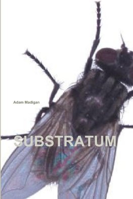 Substratum