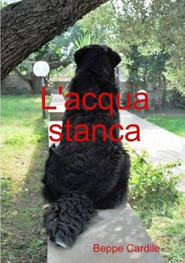 L'acqua stanca