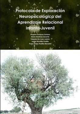 Protocolo de Exploración Neuropsicológica del Aprendizaje Relacional Infanto-Juvenil.