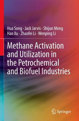 Methane Activation and Utilization in the Petrochemical and Biofuel Industries