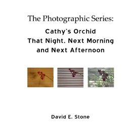 Cathy's Orchid - That Night, Next Morning  and Next Afternoon