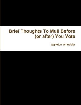 Brief Thoughts To Mull Before (or after) You Vote