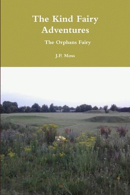 The Kind Fairy Adventures   The Orphans Fairy