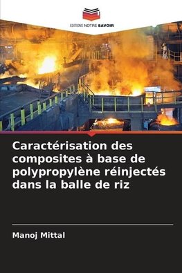 Caractérisation des composites à base de polypropylène réinjectés dans la balle de riz