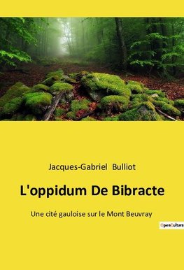 L'oppidum De Bibracte