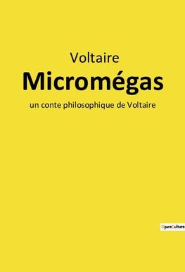 Micromégas