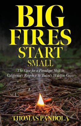 Big Fires Start Small