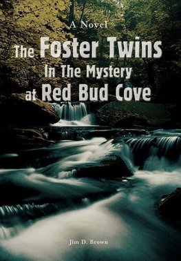 The Foster Twins In The Mystery at Red Bud Cove