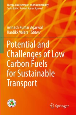 Potential and Challenges of Low Carbon Fuels for Sustainable Transport