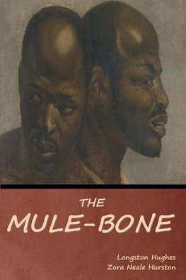 The Mule-Bone