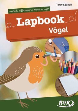 Lapbook Vögel