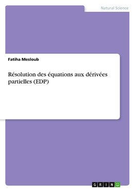 Résolution des équations aux dérivées partielles (EDP)