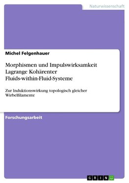 Morphismen und Impulswirksamkeit Lagrange Kohärenter Fluids-within-Fluid-Systeme