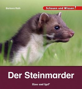 Der Steinmarder