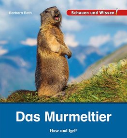 Das Murmeltier