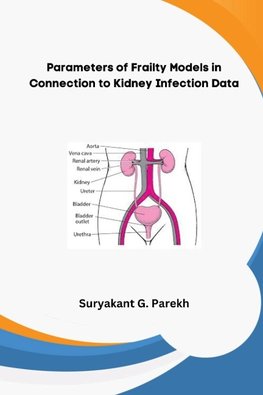 Parameters of Frailty Models in Connection to Kidney Infection Data