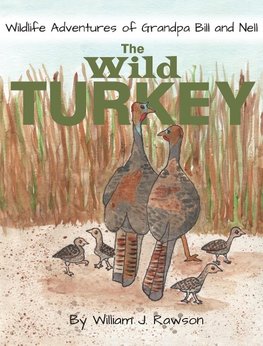 The Wild Turkey