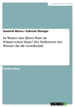 Ist Wasser eine fiktive Ware im Polanyi¿schen Sinne? Der Stellenwert des Wassers für die Gesellschaft