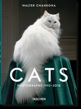 Walter Chandoha. Cats. Photographs 1942-2018