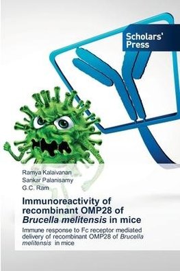 Immunoreactivity of recombinant OMP28 of Brucella melitensis in mice