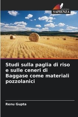 Studi sulla paglia di riso e sulle ceneri di Baggase come materiali pozzolanici