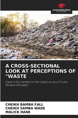 A CROSS-SECTIONAL LOOK AT PERCEPTIONS OF "WASTE