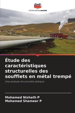 Étude des caractéristiques structurelles des soufflets en métal trempé