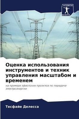 Ocenka ispol'zowaniq instrumentow i tehnik uprawleniq masshtabom i wremenem