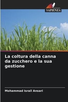 La coltura della canna da zucchero e la sua gestione