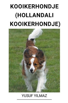 Kooikerhondje (Hollandal¿ Kooikerhondje)