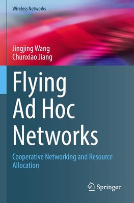 Flying Ad Hoc Networks