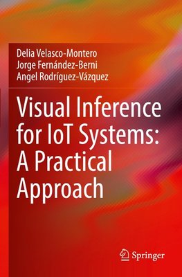 Visual Inference for IoT Systems: A Practical Approach