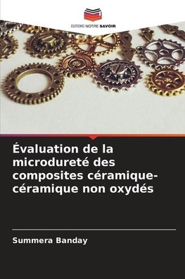 Évaluation de la microdureté des composites céramique-céramique non oxydés